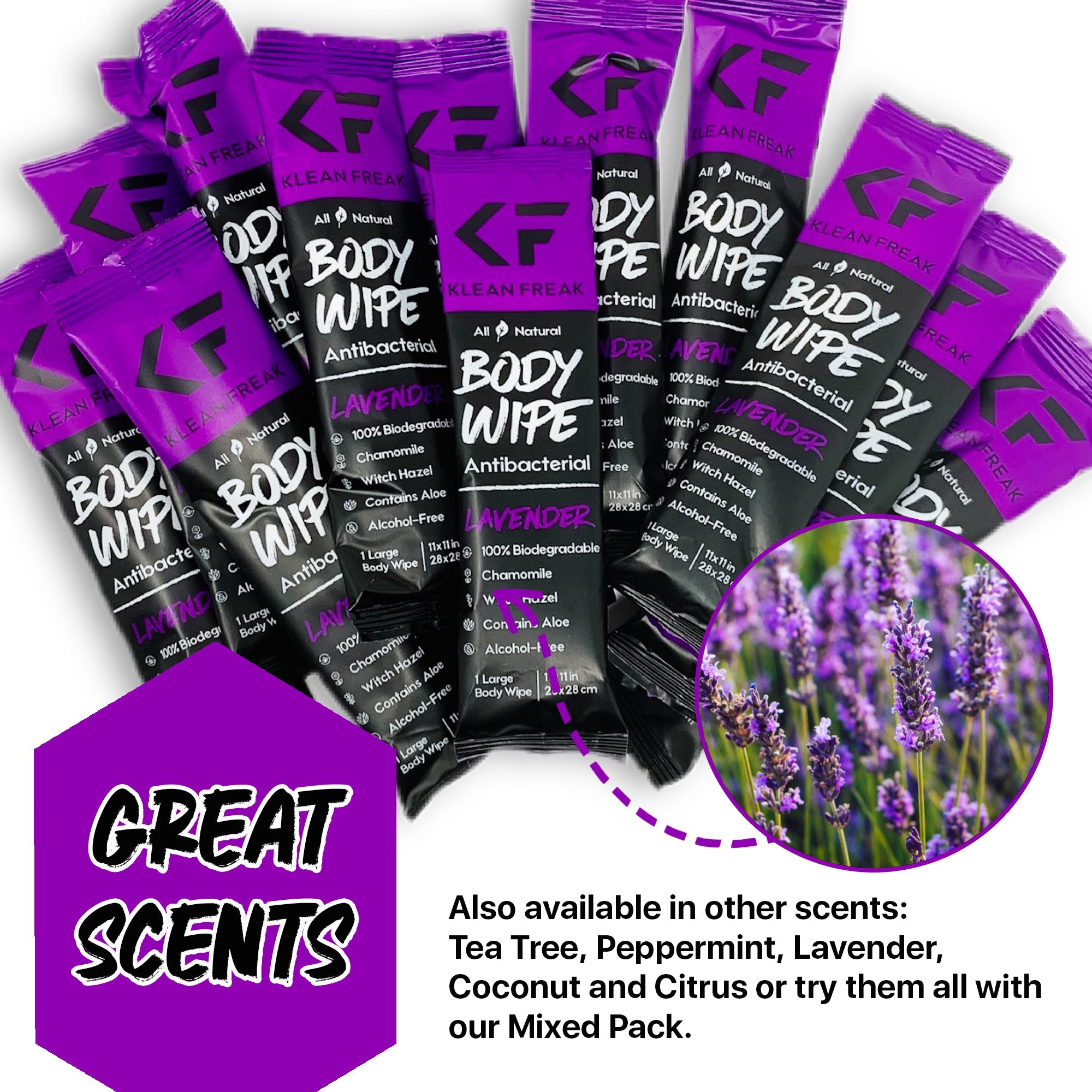 Body Wipes - 12 Pack